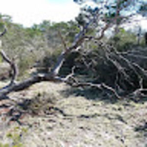 Meet your Posher, Sasha l